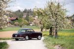 Alfa Romeo 1900 Super Sprint 1954 года
